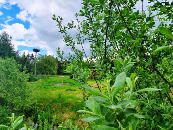 Domki do wynajęcia - Pod Bocianami 