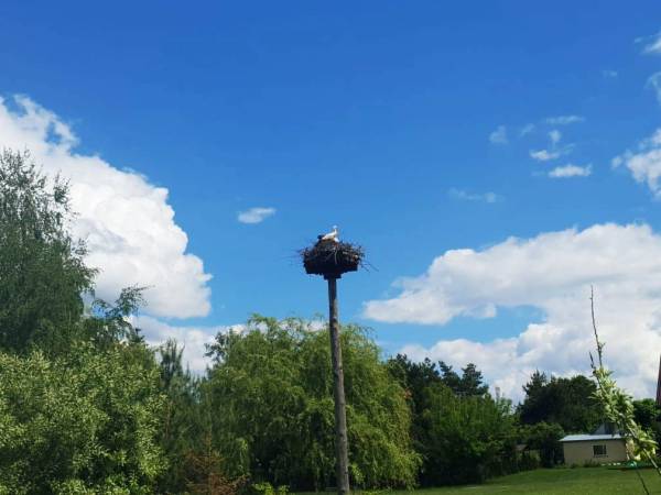 Domki do wynajęcia - Pod Bocianami 