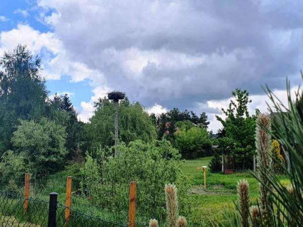 Domki do wynajęcia - Pod Bocianami 