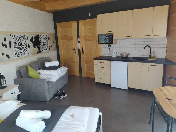 Apartamenty Sasówka - okolica