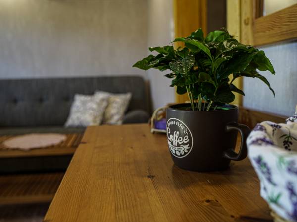 Apartament Lawendowy 