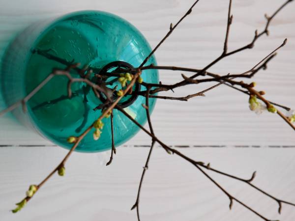 Pokoje Gościnne EWELA 