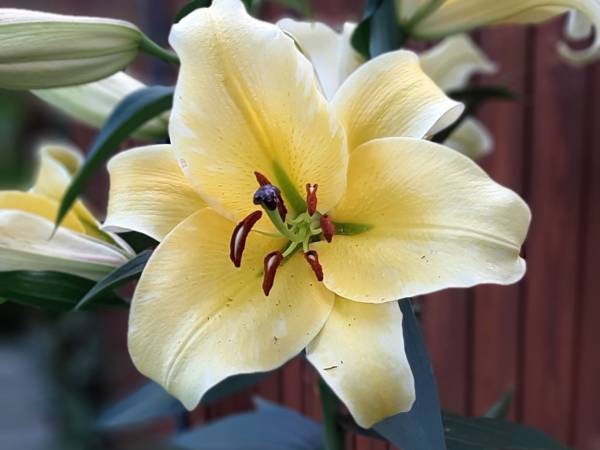 Anita Komfortowe Pokoje