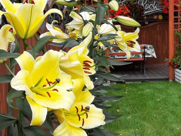 Anita Komfortowe Pokoje