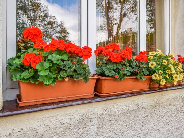 Dom Wypoczynkowy Patryn