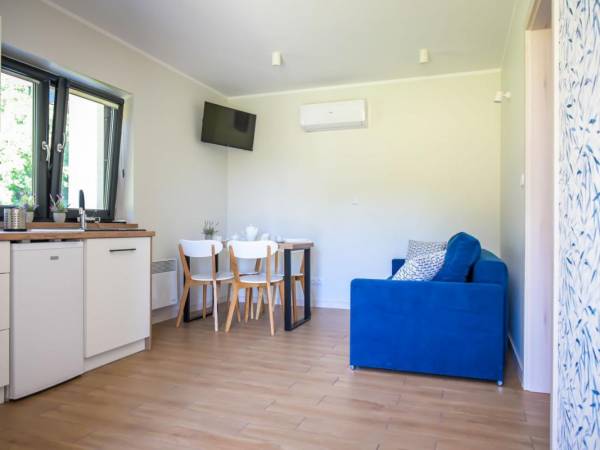 salon z aneksem kuchennym