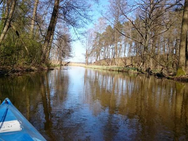 autor zdjęć Spływy kajakowe