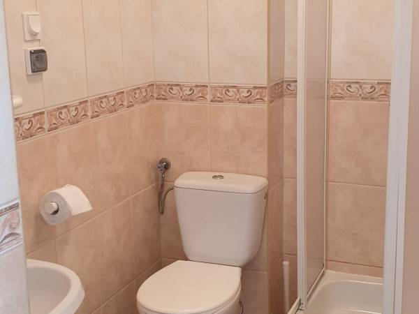 Domki i willa Pod dębami 