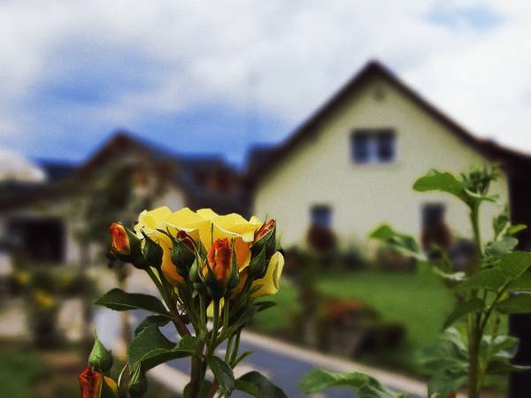 Agroturystyka Maciejówka