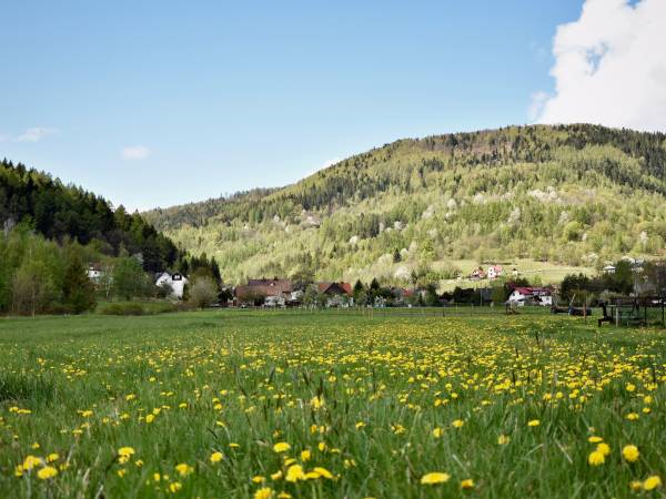 Apartamenty Siedlisko