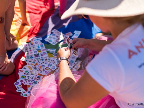 Domki Kotwica Park Władysławowo