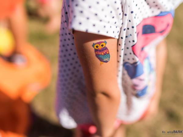 Domki Kotwica Park Władysławowo