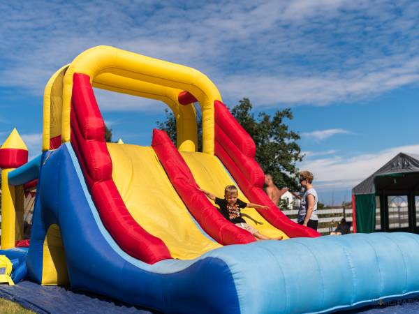 Domki Kotwica Park Władysławowo