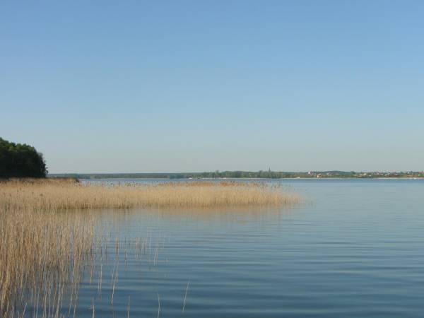 Domki Letniskowe Morena