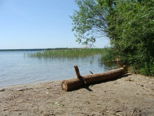 Domki Letniskowe Morena