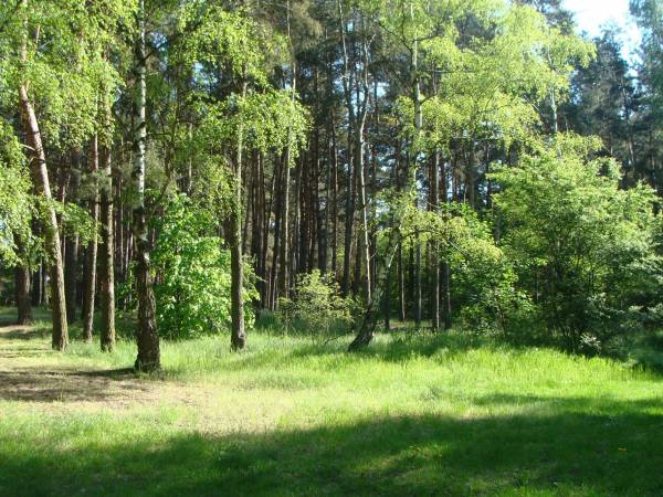 Domki Letniskowe Morena