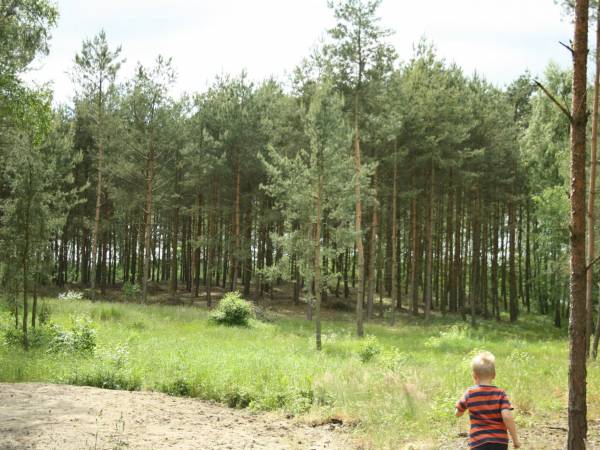 Domki Letniskowe Morena