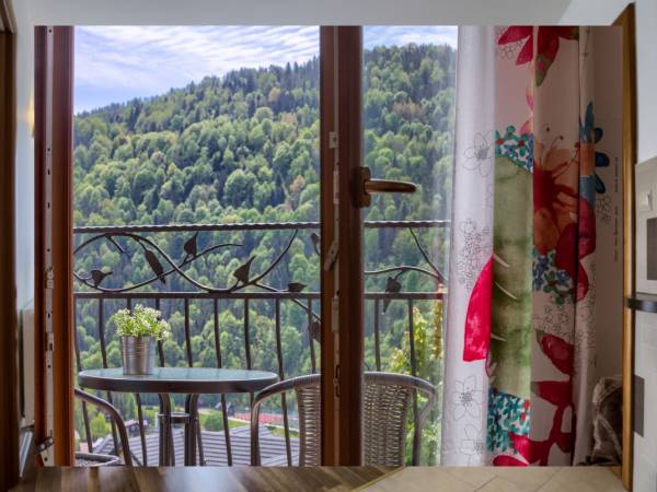 Apartamenty na Pienińskim Wzgórzu