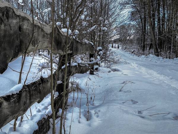Okolica idealna do zimowych spacerów