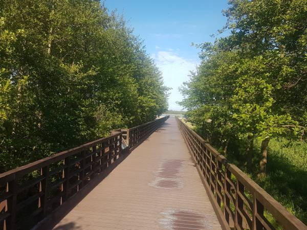 rezerwat Słone łąki (400 metrów)