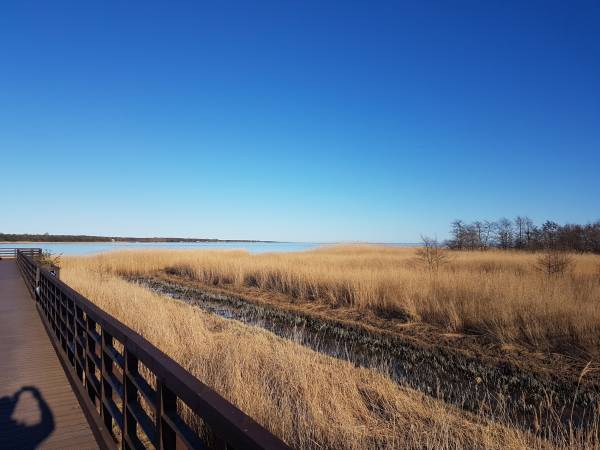 rezerwat Słone łąki (400 metrów)