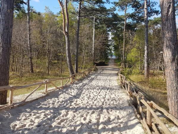 wejście na plażę 1