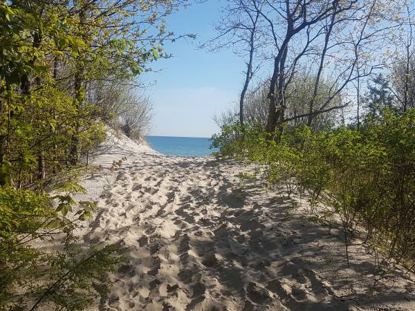 wejście na plażę 2