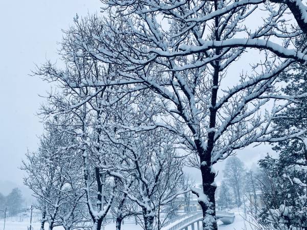 Apartamenty Piwniczna