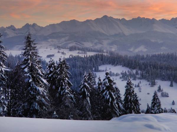 Domki w Górach pod Wyciągiem