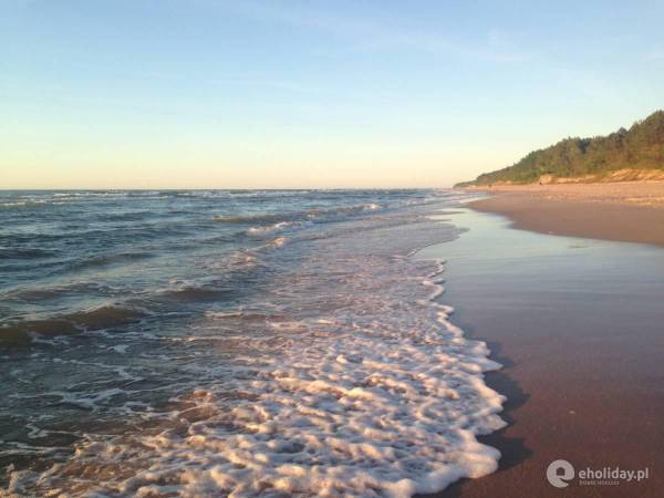 Domki Między Sosnami