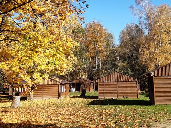 Ośrodek Wczasowy Bosman