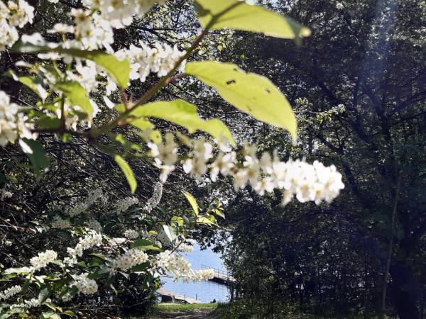 Ośrodek Wczasowy Bosman