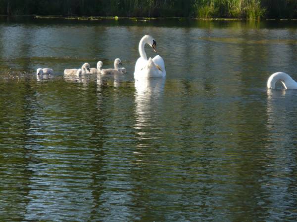 Apartamenty Nad Jeziorem