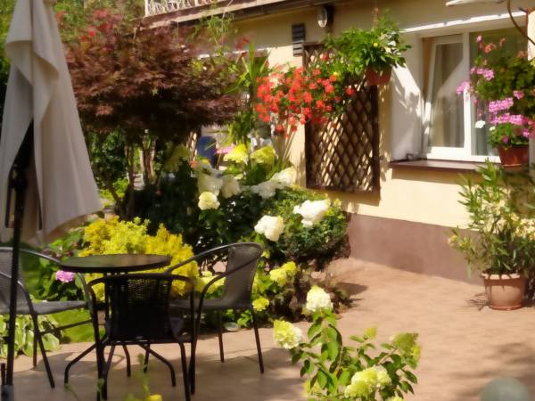 wyjscie na taras ze studia