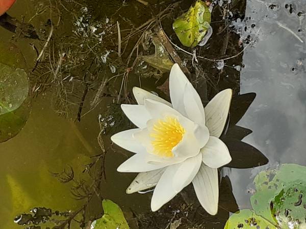 Apartamenty Nad Jeziorem