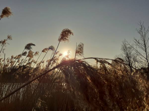 Apartamenty Nad Jeziorem