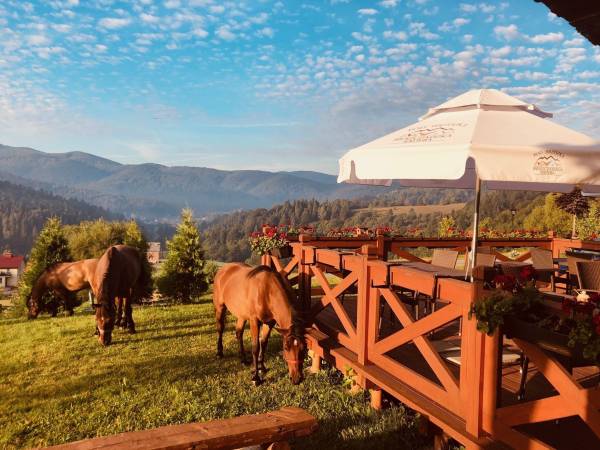 Agroturystyka Pod Brzózką