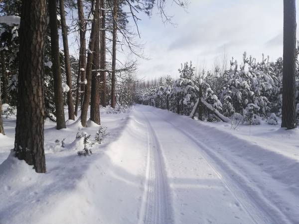 Pokoje do wynajęcia U Rycha