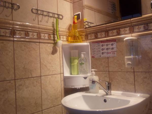 łazienka nr 2 środki do dezynfekcji