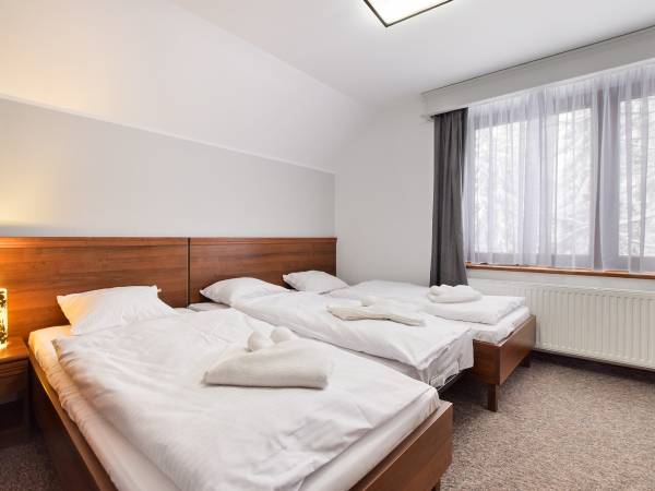 Willa pod Szrenicą 2