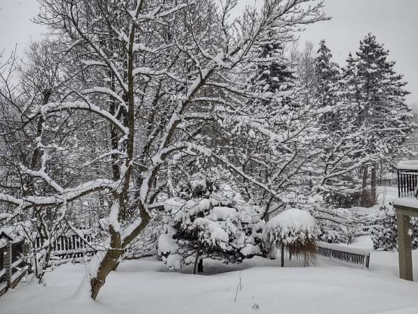 Gościnne Pokoje Wapienik