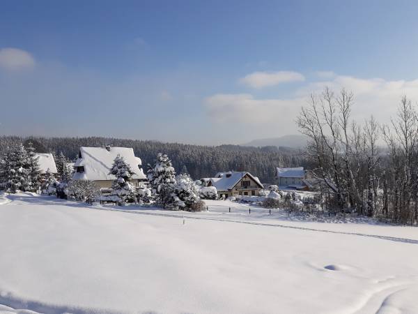 Apartamenty i domki Neve