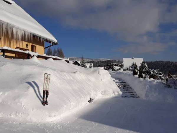 Apartamenty i domki Neve