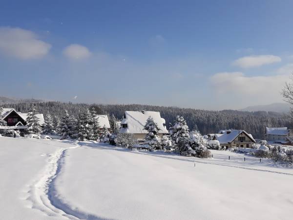 Apartamenty i domki Neve