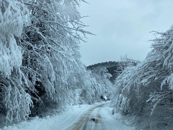 Domek w Bieszczadach Kiczurka
