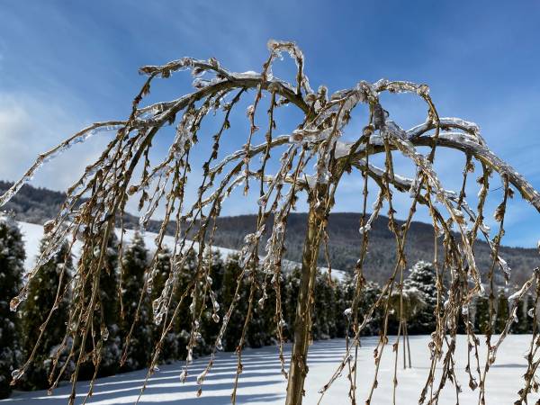Domek w Bieszczadach Kiczurka