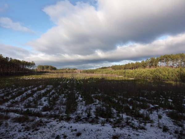 Ostoja Wypoczynku Dom, Pokoje Do Wynajęcia