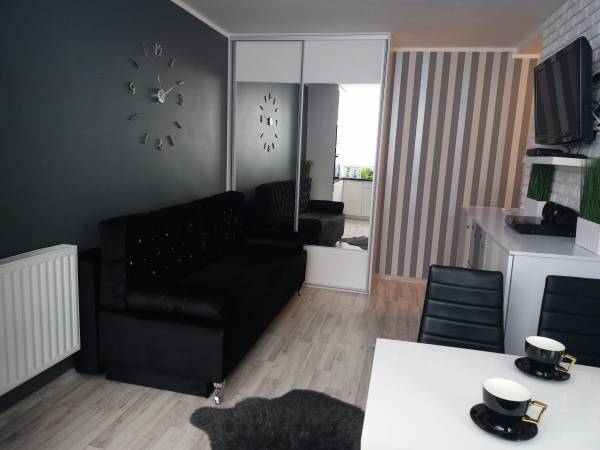 Mieszkanie w centrum