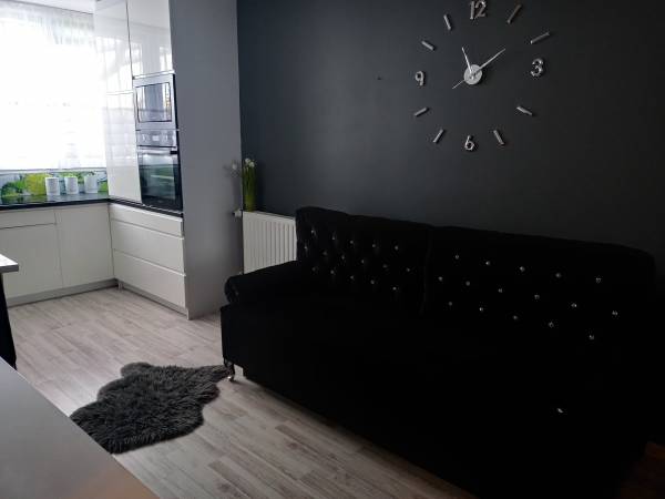 Mieszkanie w centrum