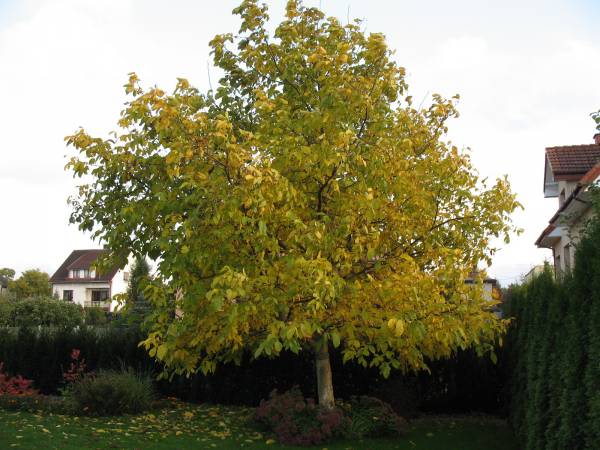 Ostoja Wypoczynku Dom, Pokoje Do Wynajęcia